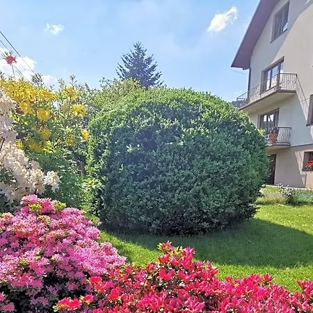 Nocleg ze śniadaniem Irys 3*